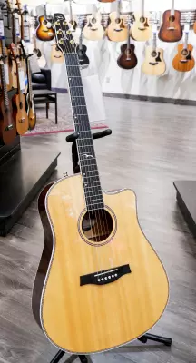 Seagull Guitars - Artist Mosaic CW HG EQ Acoustic/Electric Guitar 3